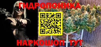 PSILOCYBIN Краснокаменск